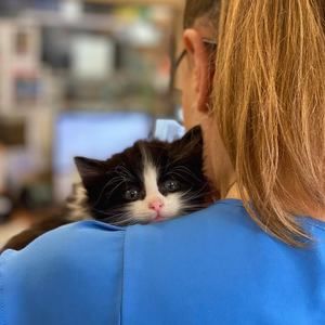 Meet your Posher, Renee